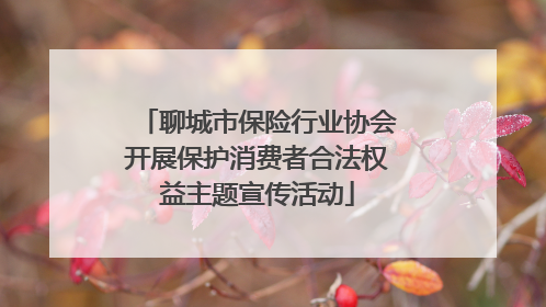 聊城市保险行业协会开展保护消费者合法权益主题宣传活动