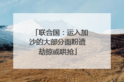 联合国：运入加沙的大部分面粉遭劫掠或哄抢