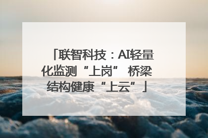 联智科技：AI轻量化监测“上岗” 桥梁结构健康“上云”