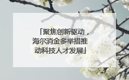 聚焦创新驱动，海尔消金多举措推动科技人才发展