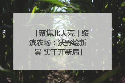聚焦北大荒｜绥滨农场：沃野绘新景 实干开新局