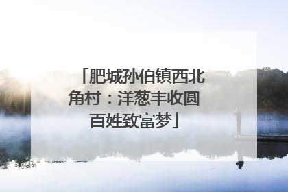 肥城孙伯镇西北角村：洋葱丰收圆百姓致富梦