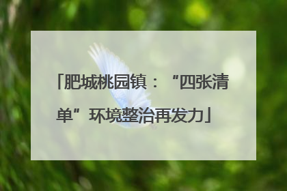 肥城桃园镇：“四张清单”环境整治再发力