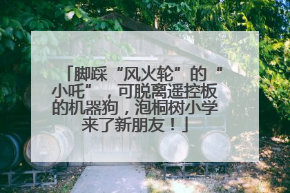 脚踩“风火轮”的“小吒”，可脱离遥控板的机器狗，泡桐树小学来了新朋友！