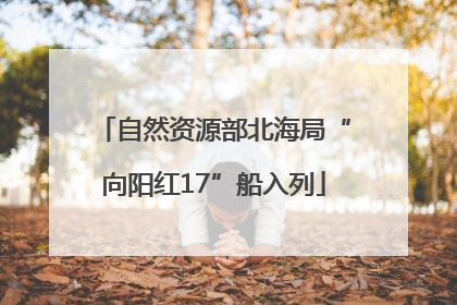自然资源部北海局“向阳红17”船入列