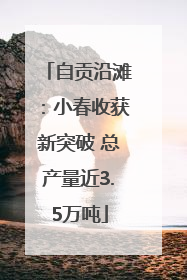 自贡沿滩：小春收获新突破 总产量近3.5万吨