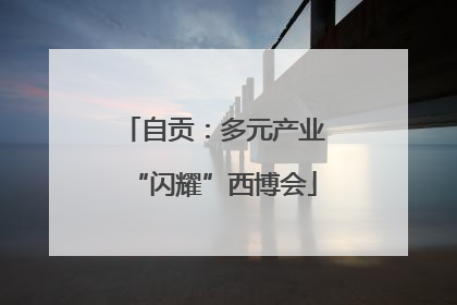 自贡：多元产业“闪耀”西博会