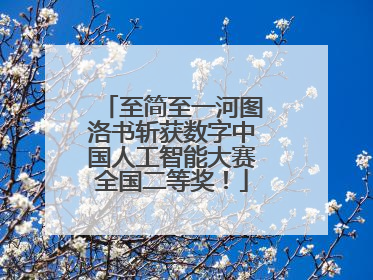 至简至一河图洛书斩获数字中国人工智能大赛全国二等奖！