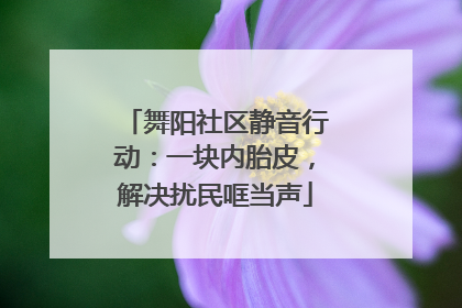 舞阳社区静音行动：一块内胎皮，解决扰民哐当声