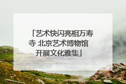 艺术快闪亮相万寿寺 北京艺术博物馆开展文化雅集