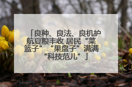 良种、良法、良机护航夏粮丰收 居民“菜篮子”“果盘子”满满“科技范儿”