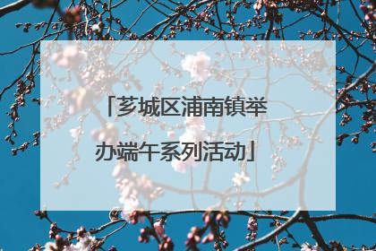 芗城区浦南镇举办端午系列活动