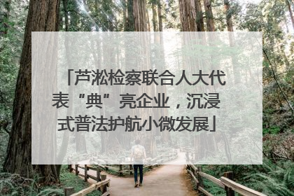 芦淞检察联合人大代表“典”亮企业，沉浸式普法护航小微发展