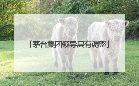 茅台集团领导层有调整
