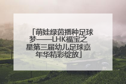 萌娃绿茵播种足球梦——LHK福宝之星第三届幼儿足球嘉年华精彩绽放