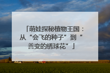 萌娃探秘植物王国：从“会飞的种子”到“善变的绣球花”