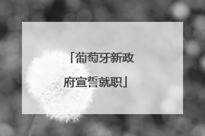 葡萄牙新政府宣誓就职