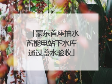 蒙东首座抽水蓄能电站下水库通过蓄水验收
