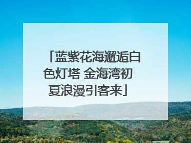 蓝紫花海邂逅白色灯塔 金海湾初夏浪漫引客来