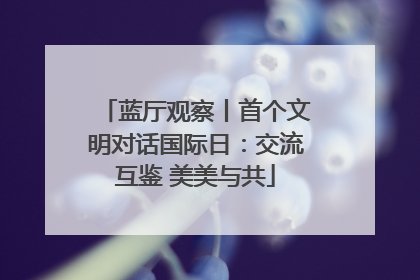 蓝厅观察丨首个文明对话国际日：交流互鉴 美美与共