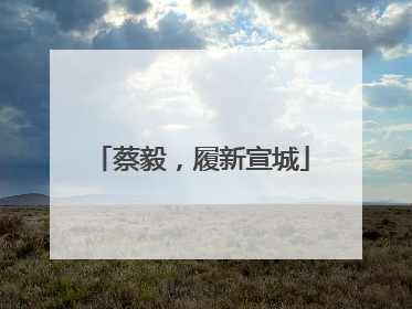 蔡毅，履新宣城