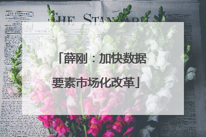 薛刚：加快数据要素市场化改革