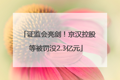 证监会亮剑！京汉控股等被罚没2.3亿元