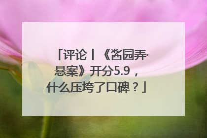 评论丨《酱园弄·悬案》开分5.9，什么压垮了口碑？