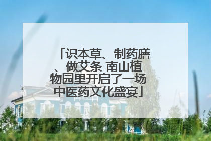 识本草、制药膳、做艾条 南山植物园里开启了一场中医药文化盛宴