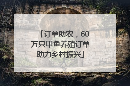 订单助农，60万只甲鱼养殖订单助力乡村振兴