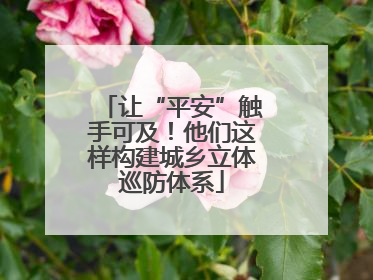 让“平安”触手可及！他们这样构建城乡立体巡防体系