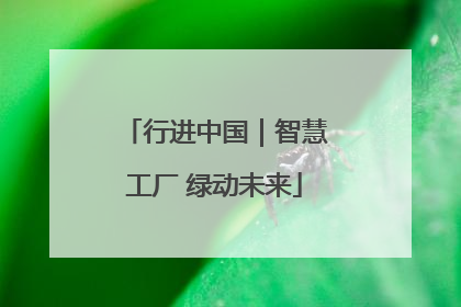 行进中国｜智慧工厂 绿动未来