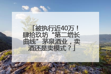 被执行近40万！肆拾玖坊“第二增长曲线”茅泉酒业，卖酒还是卖模式？