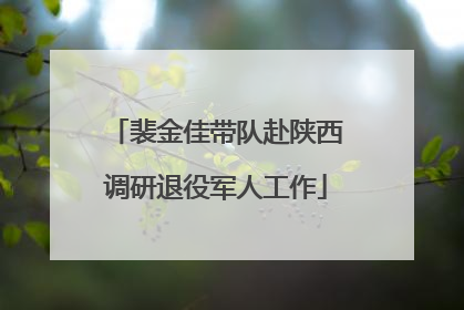 裴金佳带队赴陕西调研退役军人工作