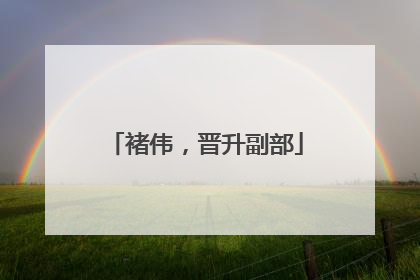 褚伟，晋升副部