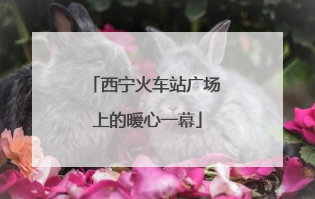 西宁火车站广场上的暖心一幕