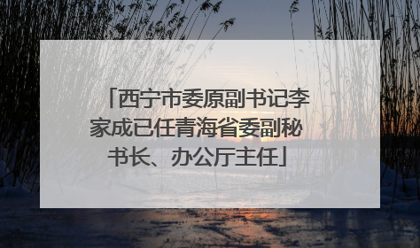 西宁市委原副书记李家成已任青海省委副秘书长、办公厅主任