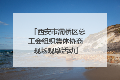 西安市灞桥区总工会组织集体协商现场观摩活动