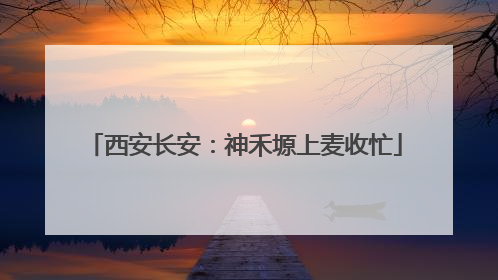 西安长安：神禾塬上麦收忙