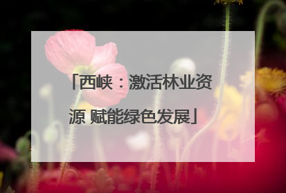 西峡：激活林业资源 赋能绿色发展