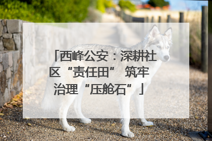 西峰公安：深耕社区“责任田” 筑牢治理“压舱石”