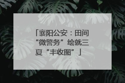 襄阳公安：田间“微警务”绘就三夏“丰收图”