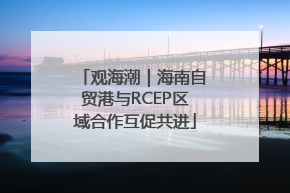 观海潮｜海南自贸港与RCEP区域合作互促共进