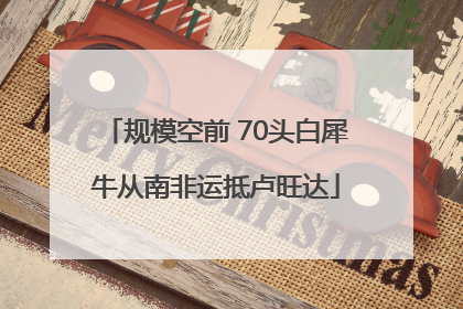 规模空前 70头白犀牛从南非运抵卢旺达