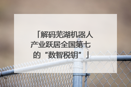 解码芜湖机器人产业跃居全国第七的“数智税钥”