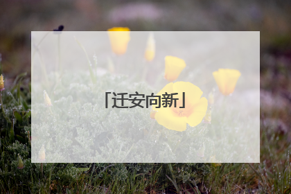 迁安向新