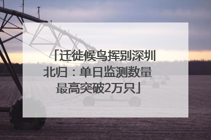 迁徙候鸟挥别深圳北归：单日监测数量最高突破2万只