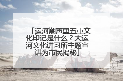 运河潮声里五重文化印记是什么？大运河文化讲习所主题宣讲为市民揭秘
