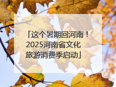 这个暑期回河南！2025河南省文化旅游消费季启动