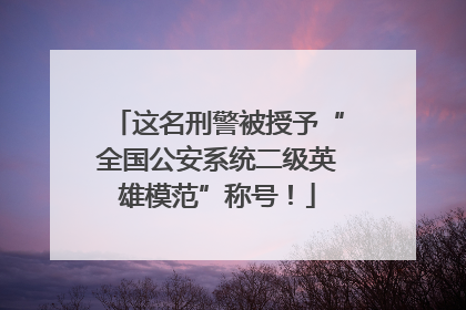 这名刑警被授予“全国公安系统二级英雄模范”称号！